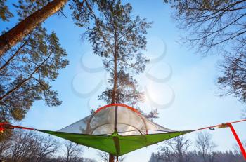 hanging tent camping in a forest 