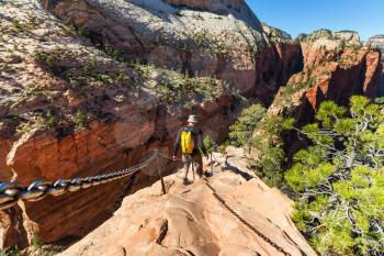 Hike in Zion national park