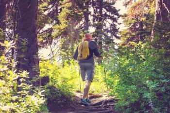 Hiking man in the mountains