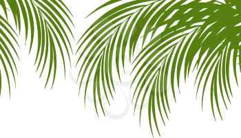 Palm leaf silhouettes background. Tropical leaves. Vector illustration