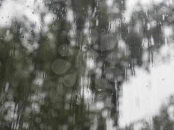 Rain drops on window glasses surface with trees against the sky.
