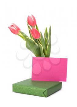 gift with pink tulips  isolated on white background