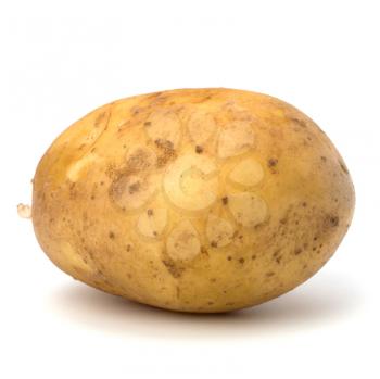 potato isolated on white background close up