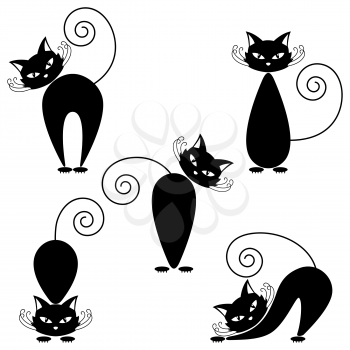 Set of cats on a white background.