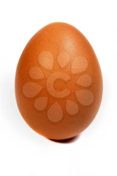 egg vertical isolated on white background