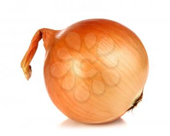 healthy vegetable onion isolated on white background