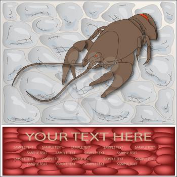 Royalty Free Clipart Image of a Lobster Background