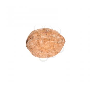 Object on white - food walnut 