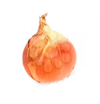 Ripe onion on a white background 