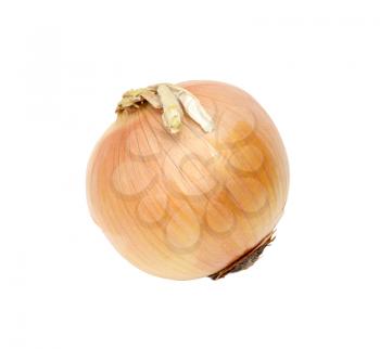 Ripe onion on a white background 