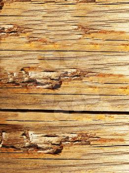 High resolution natural wood grain texture       