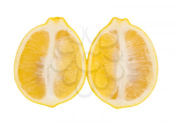 lemon on a white background