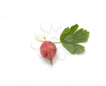 gooseberries on a white background