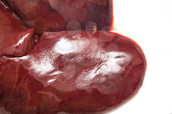 liver pig on a white background