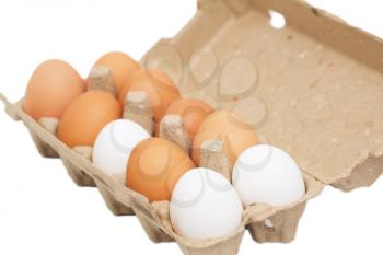 Chicken eggs in a box