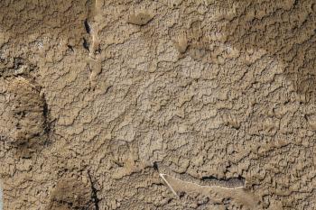 background of soil and sand