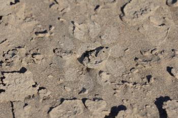 background of soil and sand