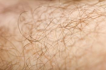 background of the hair on his leg. macro