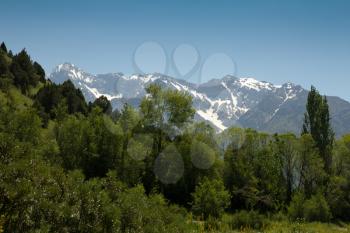 beautiful nature. Mountains in Kazakhstan