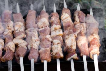 skewers. grilled meat on the coals