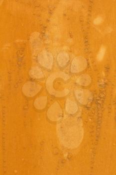 foot prints on the orange wall