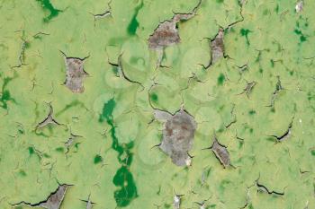 abstract background of old green paint on the metal surface