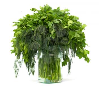 dill with parsley on a white background