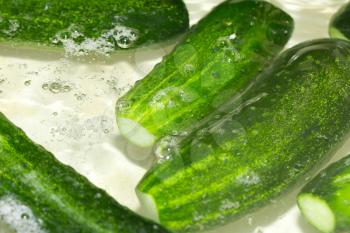 cucumbers in the water as a background