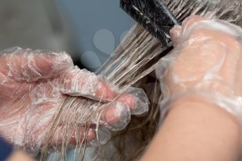beautician applying hair dye on female customer's hair
