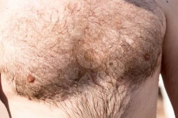 Hairy chest of a man in the open air .
