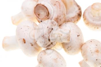 Fresh mushrooms champignons on a white background