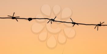 Barbed wire at sunset