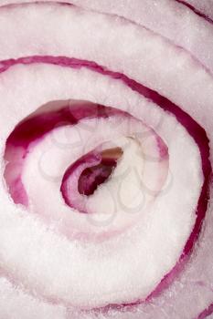 Red Onion Slice cross section, macro background closeup