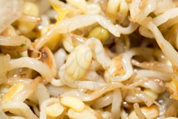 sprouted wheat in the salad. macro