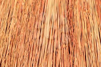Texture of Drongamaporngry broom