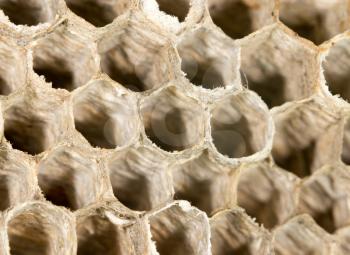 honeycomb as background