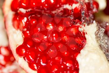 Ripe red pomegranate in water