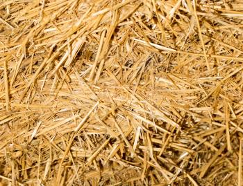 background of dry hay