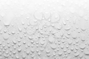 water drops on a white background. close-up