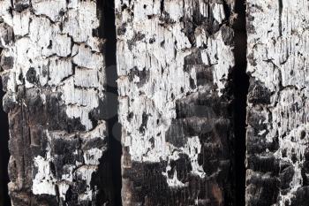 background of burnt wood