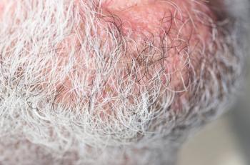 hair of the beard. close-up