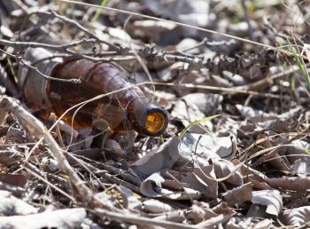 Glass bottles in nature. trash