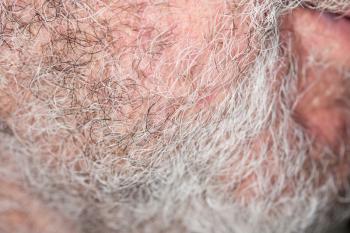 hair of the beard. close-up