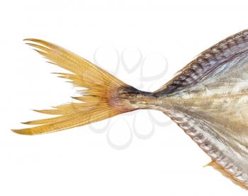 the tail of a fish on a white background