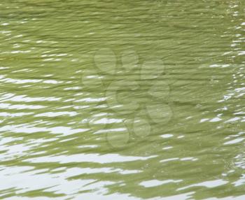 background of yellow surface of the water