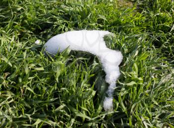 snow on the green grass