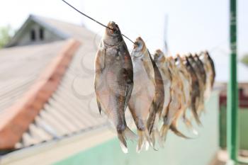 sun-dried salted fish in the air