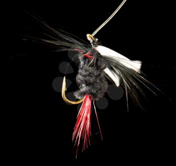 fly to catch fish on a black background