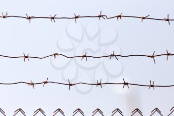 barbed wire on the sky background