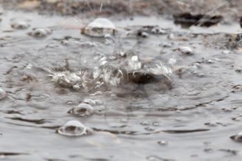 Water splashes in a puddle of rain
